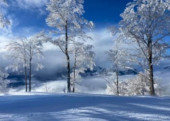 dintorni - Trilocale via Gonelle
28, Montaldo di Mondovì - foto 12