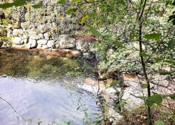 Giardino - Rustico Follina - foto 8