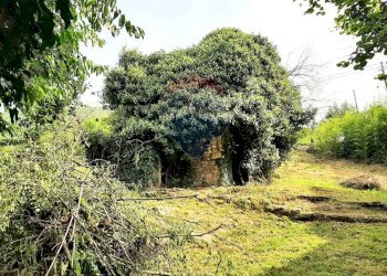 Giardino - Rustico Follina - foto 43