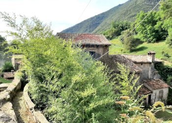 Vista delle montagne - Rustico Follina - foto 44