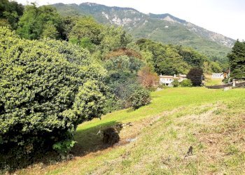 Vista delle montagne - Rustico Follina - foto 45