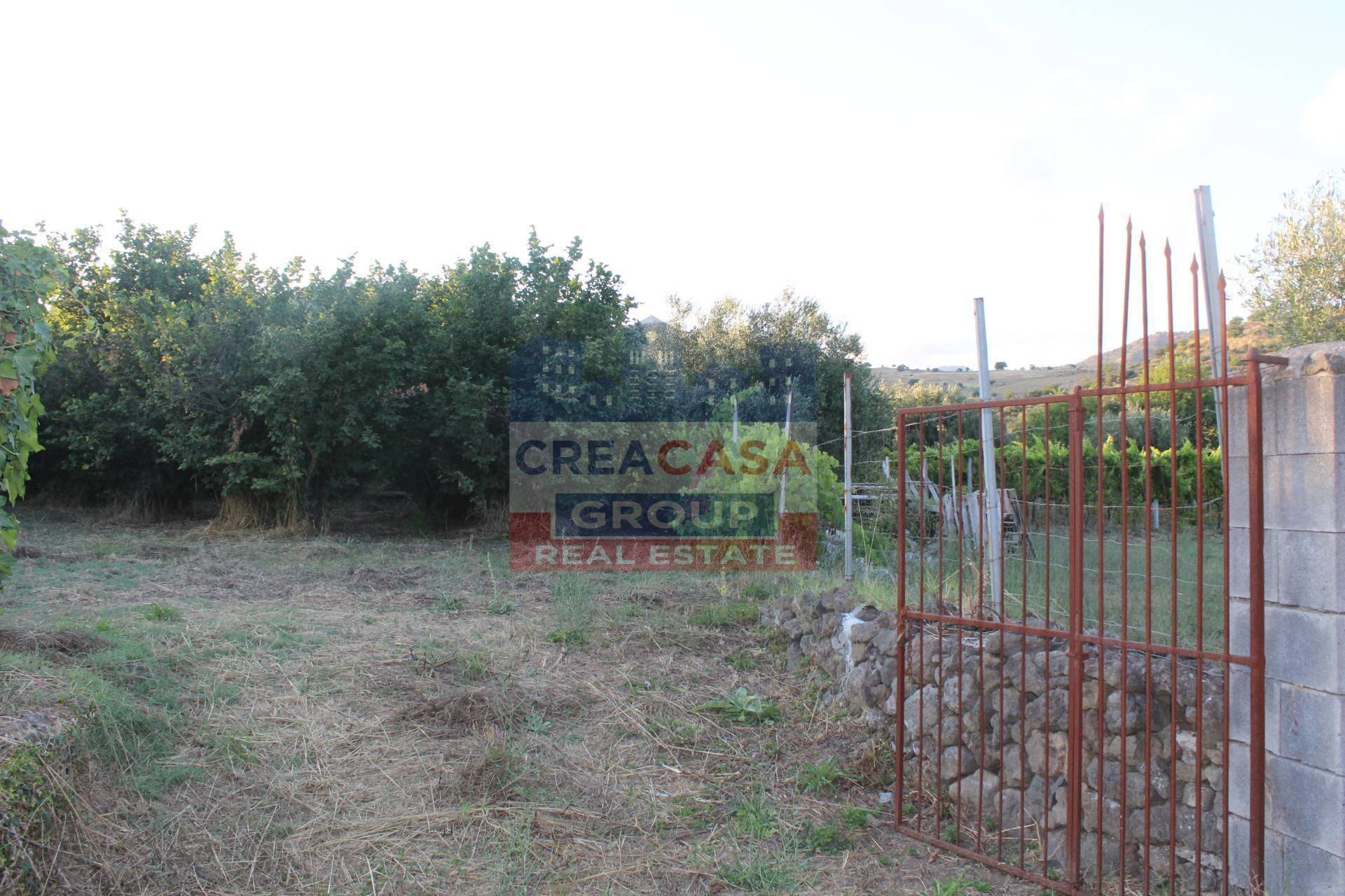 Foto 3 - Terreno agricolo Contrada Gaeto, Castiglione di Sicilia - foto 3