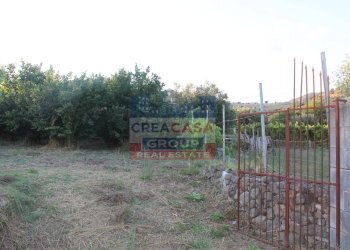 Foto 3 - Terreno agricolo Contrada Gaeto, Castiglione di Sicilia - foto 3