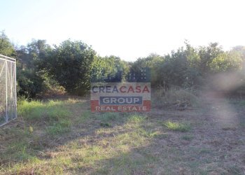 Foto 4 - Terreno agricolo Contrada Gaeto, Castiglione di Sicilia - foto 4
