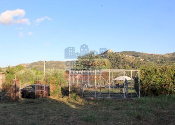 Foto 5 - Terreno agricolo Contrada Gaeto, Castiglione di Sicilia - foto 5