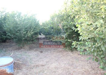 Foto 6 - Terreno agricolo Contrada Gaeto, Castiglione di Sicilia - foto 6