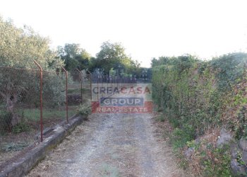 Foto 9 - Terreno agricolo Contrada Gaeto, Castiglione di Sicilia - foto 9