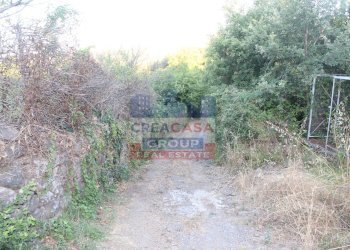 Foto 10 - Terreno agricolo Contrada Gaeto, Castiglione di Sicilia - foto 10