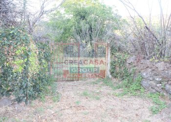 Foto 11 - Terreno agricolo Contrada Gaeto, Castiglione di Sicilia - foto 11