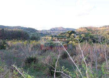 Foto 12 - Terreno agricolo Contrada Gaeto, Castiglione di Sicilia - foto 12