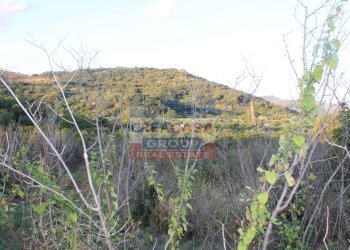 Foto 13 - Terreno agricolo Contrada Gaeto, Castiglione di Sicilia - foto 13