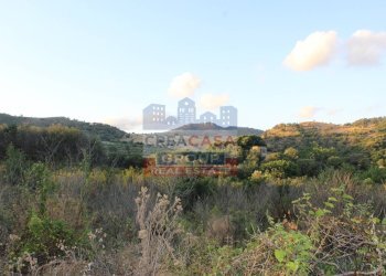 Foto 15 - Terreno agricolo Contrada Gaeto, Castiglione di Sicilia - foto 15
