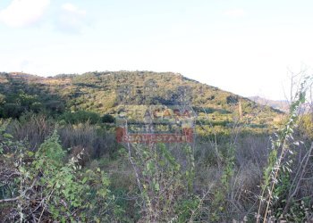 Foto 16 - Terreno agricolo Contrada Gaeto, Castiglione di Sicilia - foto 16