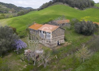 Foto 1 - Rustico Strada Montebello Infernetto, Tuscania - foto 1