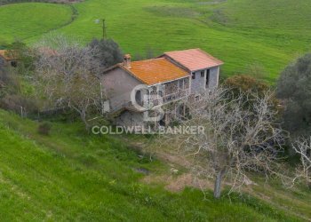 Foto 2 - Rustico Strada Montebello Infernetto, Tuscania - foto 2