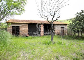 Foto 33 - Rustico Strada Montebello Infernetto, Tuscania - foto 33