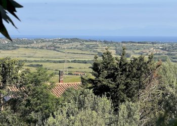 Foto 10 - Rustic Stazzo La Casedda
 
92, Aglientu - photo 10