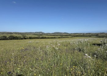 Foto 29 - Rustic Stazzo La Casedda
 
92, Aglientu - photo 29