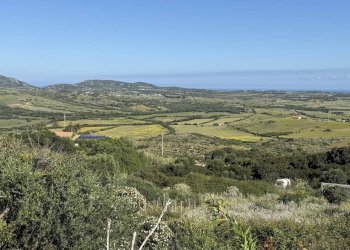 Foto 31 - Rustic Stazzo La Casedda
 
92, Aglientu - photo 31