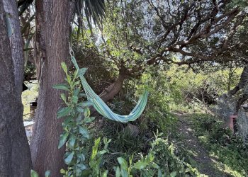 Foto 34 - Rustic Stazzo La Casedda
 
92, Aglientu - photo 34