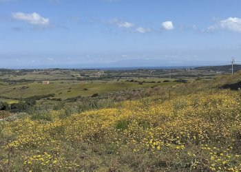 Foto 36 - Rustic Stazzo La Casedda
 
92, Aglientu - photo 36