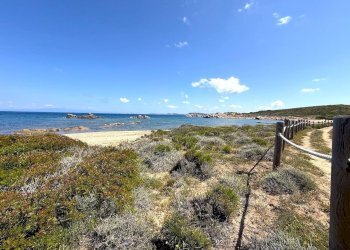 Foto 60 - Rustic Stazzo La Casedda
 
92, Aglientu - photo 60