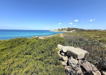 Foto 64 - Rustic Stazzo La Casedda
 
92, Aglientu - photo 64