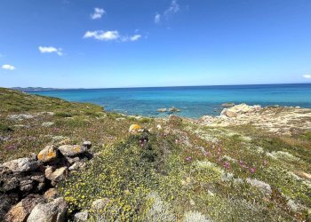 Foto 65 - Rustic Stazzo La Casedda
 
92, Aglientu - photo 65