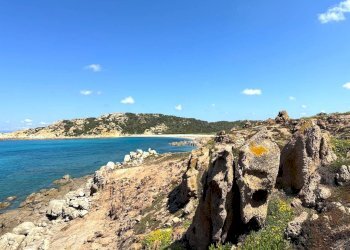 Foto 66 - Rustic Stazzo La Casedda
 
92, Aglientu - photo 66