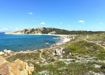 Foto 68 - Rustic Stazzo La Casedda
 
92, Aglientu - photo 68