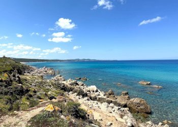 Foto 69 - Rustic Stazzo La Casedda
 
92, Aglientu - photo 69