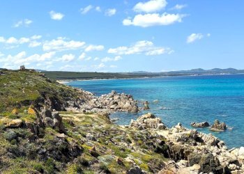 Foto 70 - Rustic Stazzo La Casedda
 
92, Aglientu - photo 70