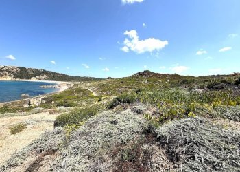 Foto 71 - Rustic Stazzo La Casedda
 
92, Aglientu - photo 71