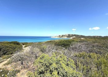 Foto 73 - Rustic Stazzo La Casedda
 
92, Aglientu - photo 73