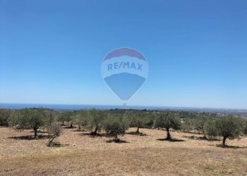 Vista delle montagne - Villa Contrada Meti
 
snc, Avola - foto 18