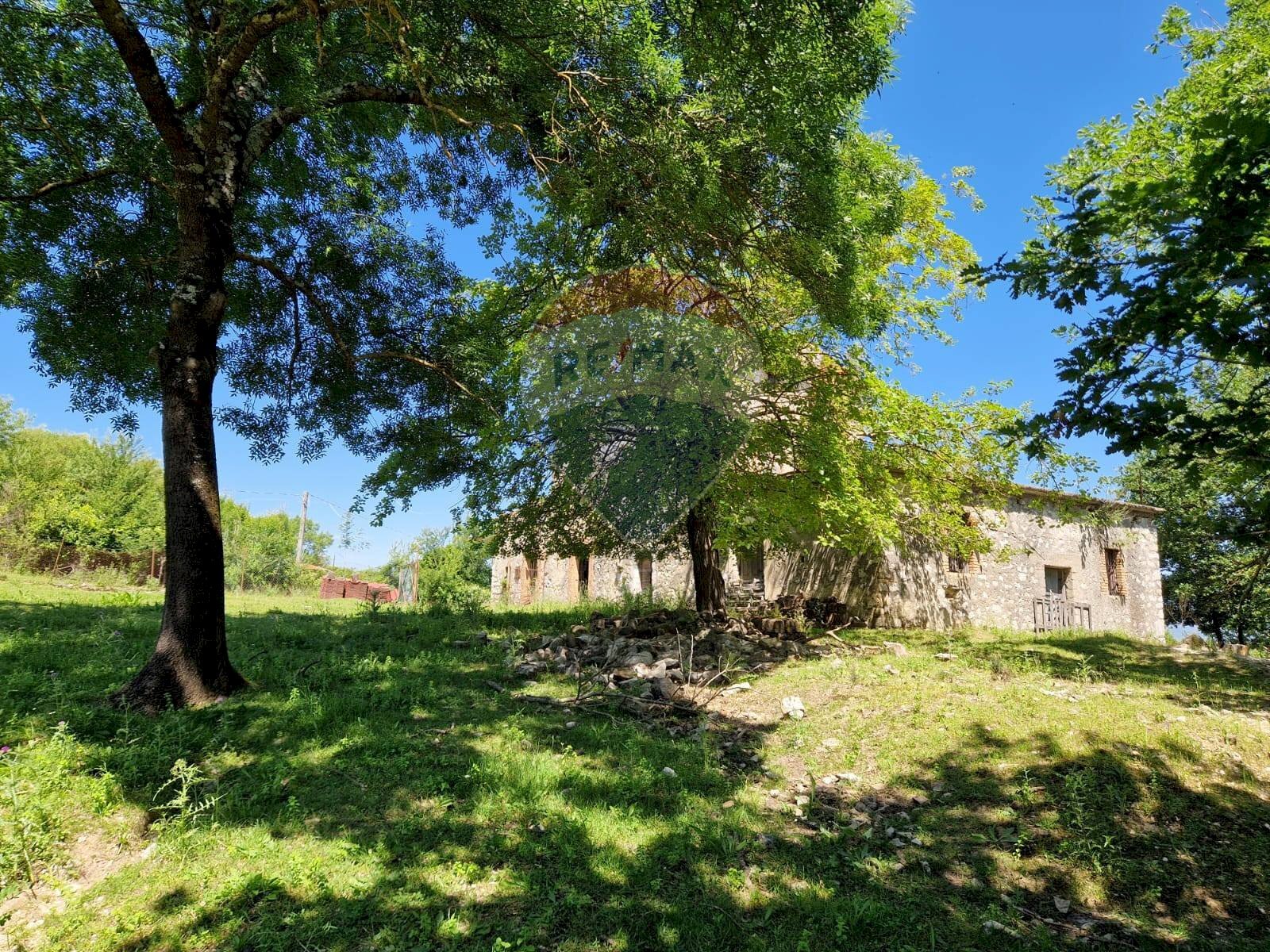 Giardino - Terreno agricolo San Giorgio a Liri - foto 1