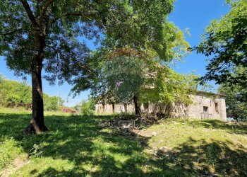 Giardino - Terreno agricolo San Giorgio a Liri - foto 1