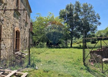 Giardino - Terreno agricolo San Giorgio a Liri - foto 3