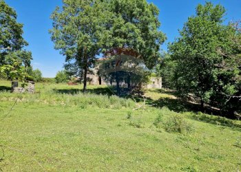 Giardino - Terreno agricolo San Giorgio a Liri - foto 4