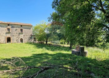 Giardino - Terreno agricolo San Giorgio a Liri - foto 10