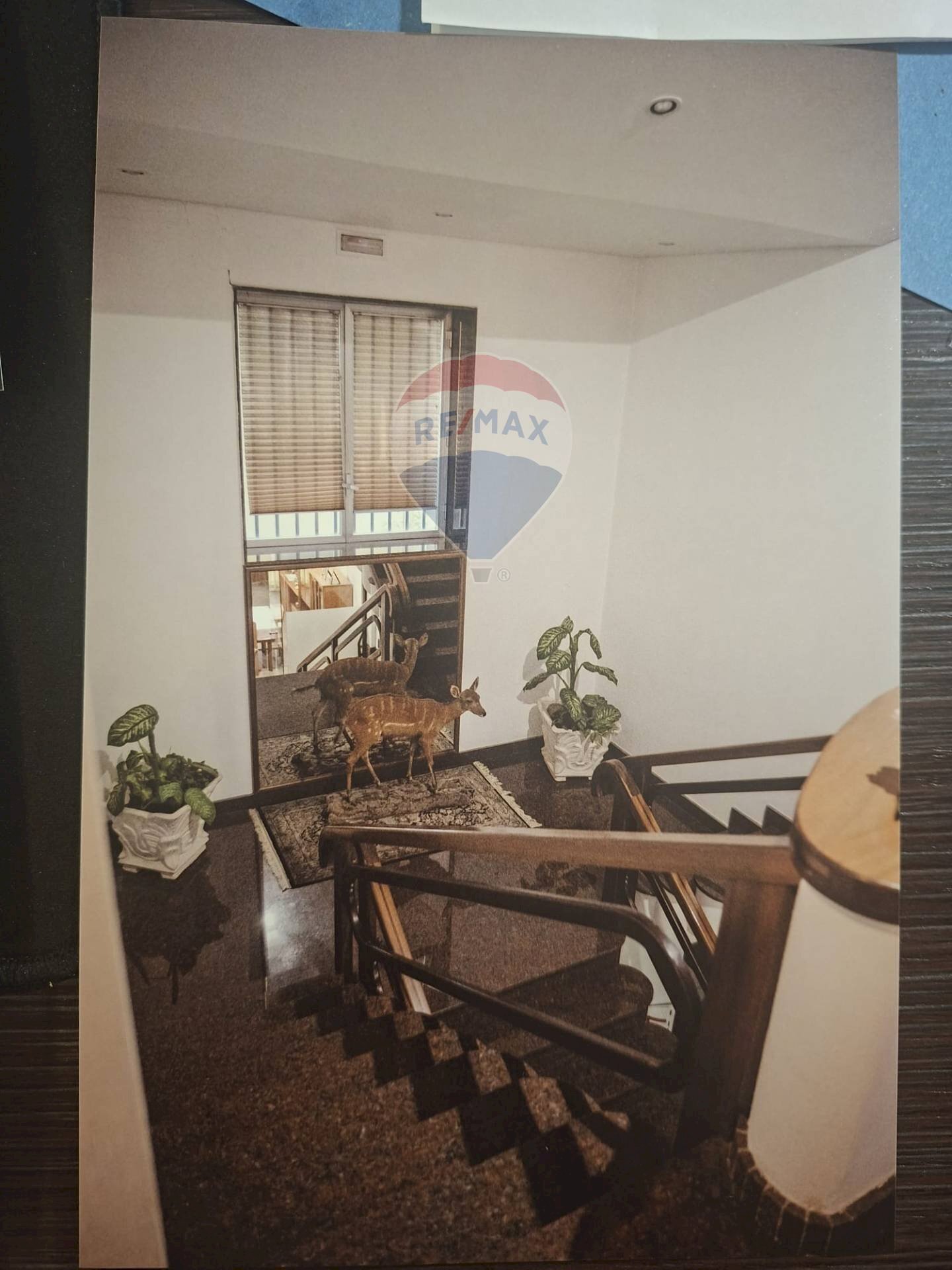 Terrazza - Apartment via venezia
 
180, Gela - photo 2