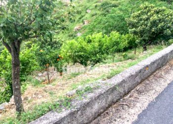 Foto 4 - Rustico Viale Europa, Gallodoro - foto 4