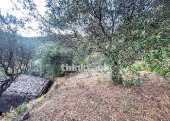 Foto 10 - Rustico Piedimonte Etneo - foto 10