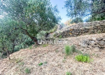 Foto 18 - Rustico Piedimonte Etneo - foto 18