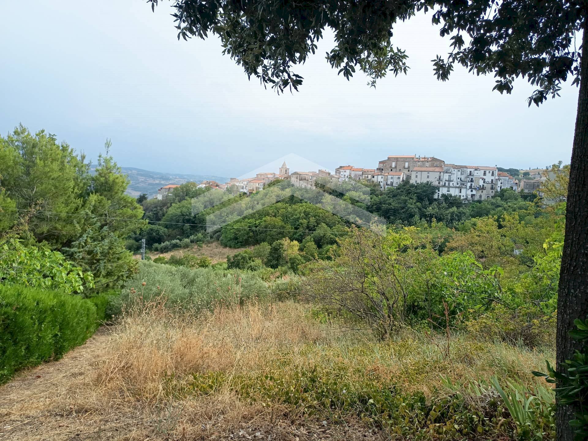 Foto 2 - Agricultural land Castelbottaccio - photo 2