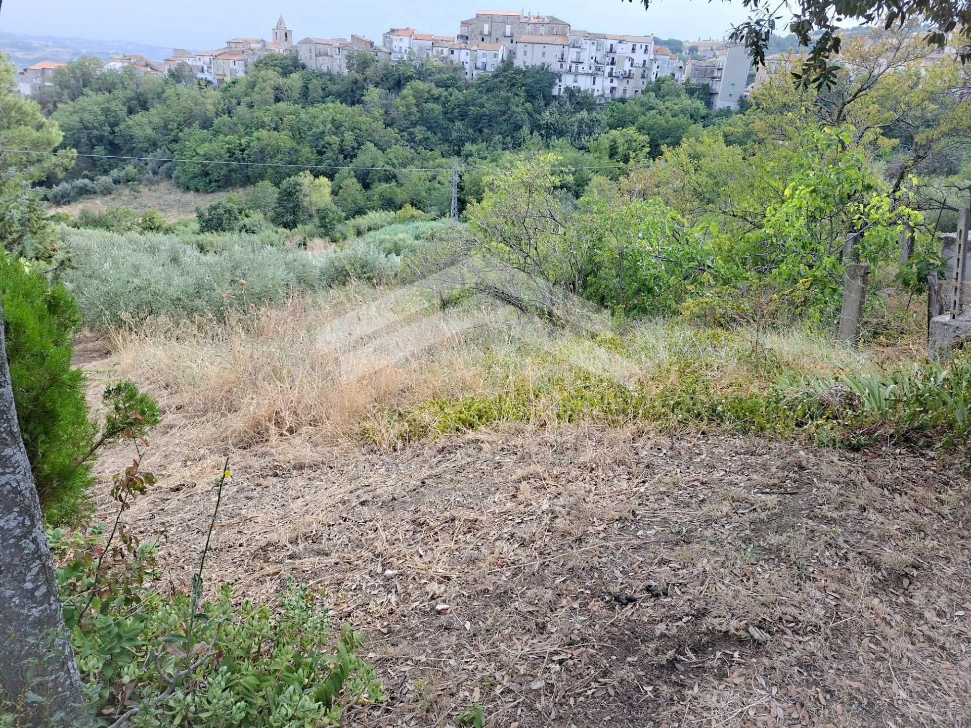 Foto 3 - Agricultural land Castelbottaccio - photo 3