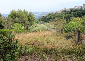 Foto 1 - Terreno agricolo Castelbottaccio - foto 1