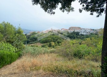 Foto 2 - Terreno agricolo Castelbottaccio - foto 2