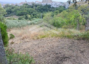 Foto 3 - Terreno agricolo Castelbottaccio - foto 3