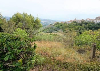 Foto 4 - Terreno agricolo Castelbottaccio - foto 4